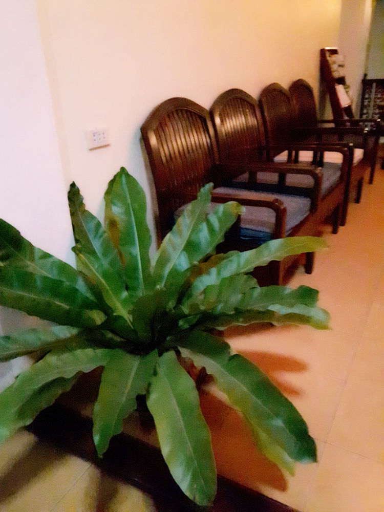 Phonepraseuth Guesthouse Luang Prabang Exterior photo